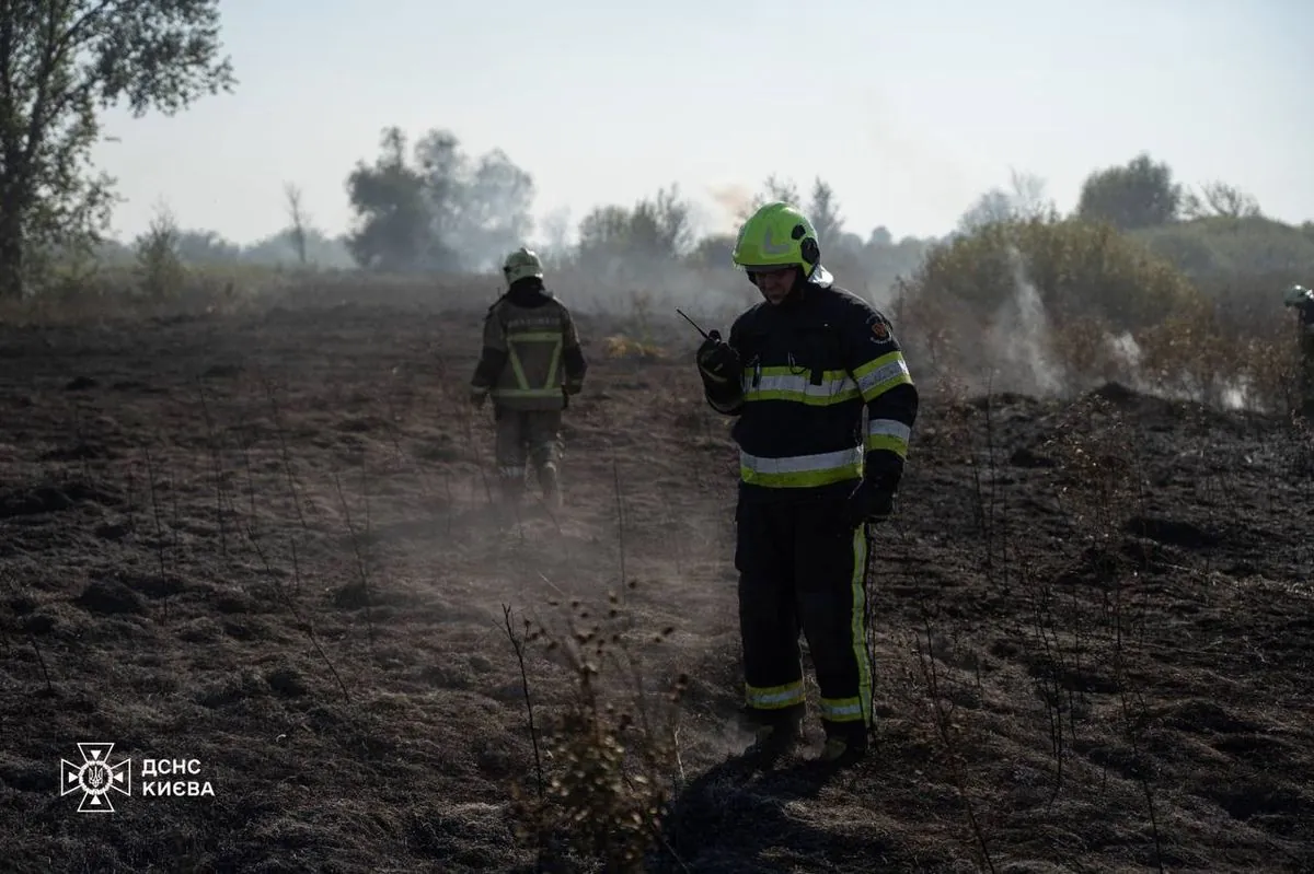 У Київській області успішно побороли велике пожежне загоряння трав'яного покриву | УНН